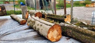 Grumes